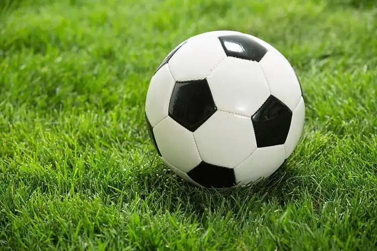 足球比分捷报触屏二维码